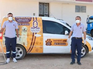 Kızıltepe’de ’Haybulans’ Sokak Hayvanlarının İmdadına Koşuyor