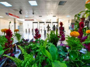 ‘Çiçek Takası’ Uygulamasının Adresi Bu Kez Koru Metrosu