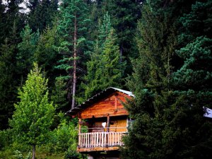 Sakin Şehir Şavşat’tan Kartpostallık Yaz Manzaraları