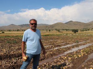Sel Basan Tarlada Toplanmaya Bekleyen 35 Ton Patates Sular Altında Kaldı