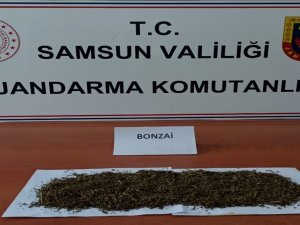 Samsun’da Uyuşturucu Ve Kaçakçılık Operasyonları: 28 Gözaltı