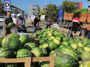 Dayanışma Kampanyasında 400 Ton Karpuz Vatandaşa Ulaştı