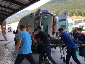 Gemlik Gübre Fabrikası’nda İşçiler Zehirlendi