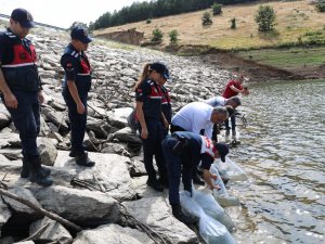 Kırklareli’nde 30 Bin Balık Yavrusu Göletlere Salındı