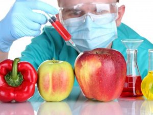 Sebze Tohumları İçin ‘Gdo Analiz Kiti’ Kullanılacak