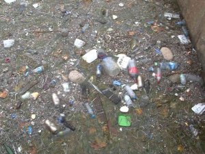 Sarıyer Sahilinde Deniz Kirliliği Devam Ediyor