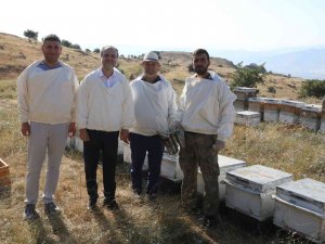 Rektör, Bal Hasadını Yaptı