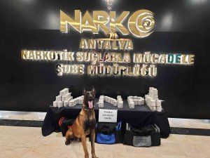 Antalya’da Bir Tır’da 50 Kilo Uyuşturucu Ele Geçirildi