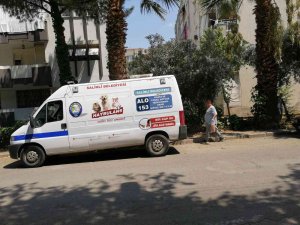 Manisa’da Kedi Ve Köpek Katliamı: 15’e Yakını Öldürüldü