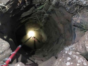 Kilis’te Su Kuyusuna Düşen Yavru Domuz Kurtarıldı