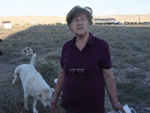 Yaşlı Kadına ‘Sokakta Hayvan Besleme’ Tehdidi