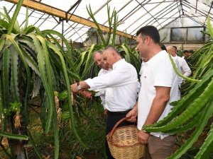Vali Yazıcı: "En Çok Tarım Ve Hayvancılıkla Uğraşanların Kazanmasını İsterim"