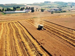 Nilüfer, Milano Paktı’na Katıldı