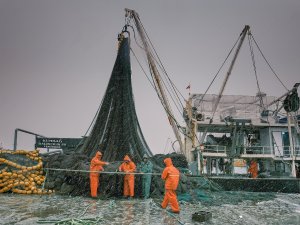 Süleymanpaşa’nın Renkleri Fotoğraf Yarışması Sonuçlandı