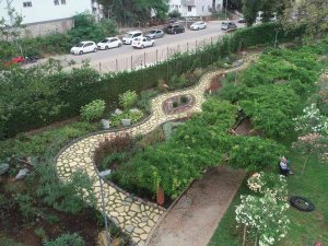 ‘Tıbbî Ve Aromatik Bitkiler Koleksiyon Bahçesi’ Hayran Bırakıyor
