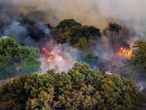 Fransa’daki Orman Yangını 7 Bin 400 Hektar Alanı Küle Çevirdi