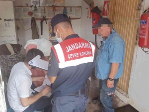 Tavuk Kümeslerine Sıkı Denetim