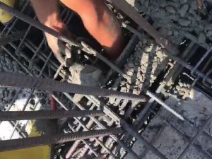 Üzerine Yanlışlıkla Beton Dökülen Yavru Kedi İşçiler Tarafından Kurtarıldı