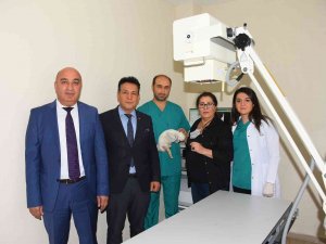 Salihli Belediyesi’nden "Can Dostlara Sahip Çıkalım" Çağrısı