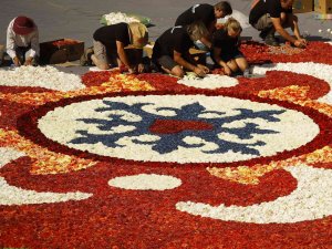 Belçika’nın Geleneksel "Çiçek Halısı" 4 Yıl Sonra Yeniden Döşendi