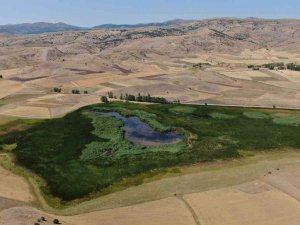 Kaz Gölü Maden Tehdidinden Şimdilik Kurtuldu