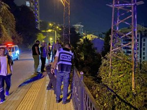 Otomobille Ormanlık Alana Uçtu, 8 Metre Yüksekliği Tırmanarak Hastaneye Gitti