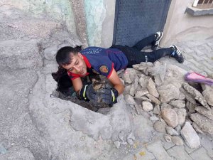 İ̇tfaiye Ekipleri Kanalizasyon Çukuruna Düşen Kedi İçin Seferber Oldu