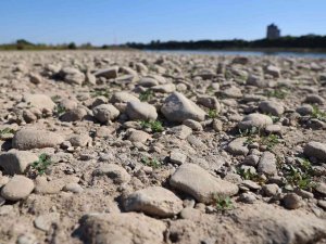 Almanya’da Ren Nehri’nin Su Seviyesinde Ciddi Düşüş