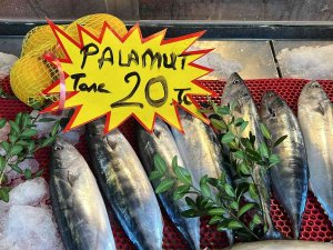 Bu Sezon Palamutun Sezonu Olacak