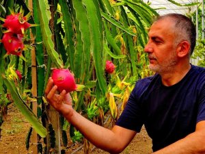 ’Batarsın’ Diyenleri Dinlemedi Şimdi Servet Kazanıyor