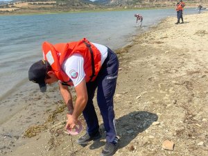 Manisa’da Jandarma Kaçak Avcılara Geçit Vermedi
