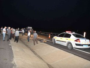 Otomobil Koyun Sürüsüne Daldı