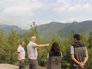 Adana Ogm Ormancılık Faaliyetlerini Yerinde İnceliyor