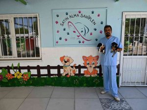 Soma’daki Sokak Hayvanı Popülasyonu Kontrol Altına Alınıyor