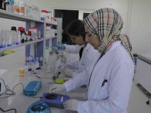 Kanser Hastalarını Umutlandıran Gelişme