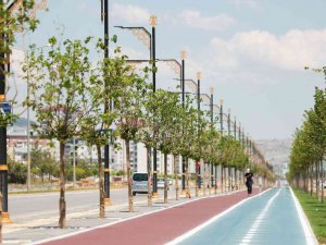 25 Bin Ağaç Toprakla Buluştu