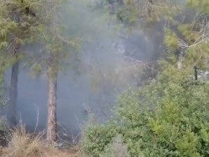 Ormanlık Alanda Çıkan Yangın Kısa Sürede Söndürüldü