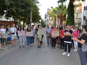 Hayvan Severlerden Kedi Ve Köpek Zehirlenmelerine Tepki