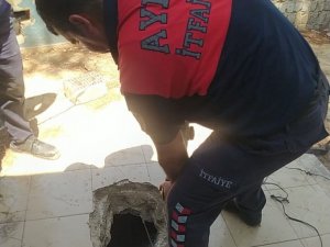 Çukura Düşen Yavruları, İtfaiye Kurtardı