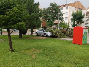 Kuvvetli Rüzgar Nedeniyle Park Halindeki Otomobilin Üzerine Ağaç Devrildi