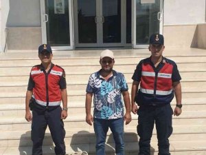 Seradan Kablo Çaldı, Jandarmadan Kaçamadı