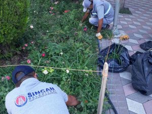 Sincan Belediyesi Yeşil Alanlarda Bakım Çalışmaları Yapıyor