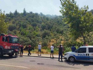 Söke’deki Yangın Kısa Sürede Kontrol Altına Alındı: 3 Dönümlük Arazi Zarar Gördü