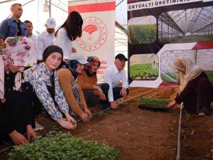 Şırnak Valisi Bilgin: “Cizre Barajı’nın Devreye Girmesiyle 70 Bin Hektarlık Alan Sulanacak’’