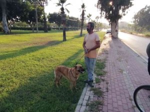 Antalya’da Otluk Alanda Köpek Tarafından Bulunan Cesedin Kimliği Belirlendi