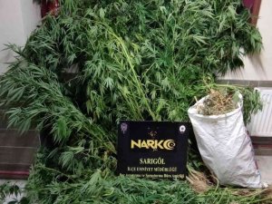 Manisa’da 1 Kilo 784 Gram Esear Yakalandı