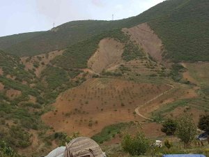 Kurtlar Vadisini Ceviz Fidanlarıyla Yeşil Vadiye Dönüştürdü