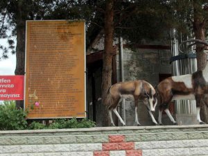 Erzincan’da Şifalı Su