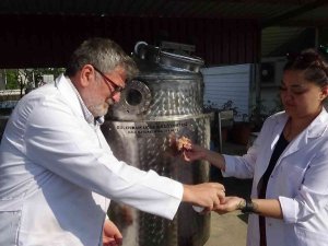 Gül Yağları Uzay Ortamında Üretilecek