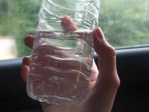 Prof. Dr. Arıca Uyardı: “Araç İçinde Sıcakta 2,3 Saatten Fazla Bulunmuş Sıvıyı Tüketmemeliyiz”